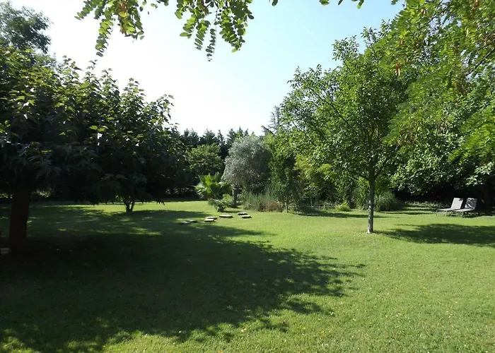 L\'Orgaliere Alpilles