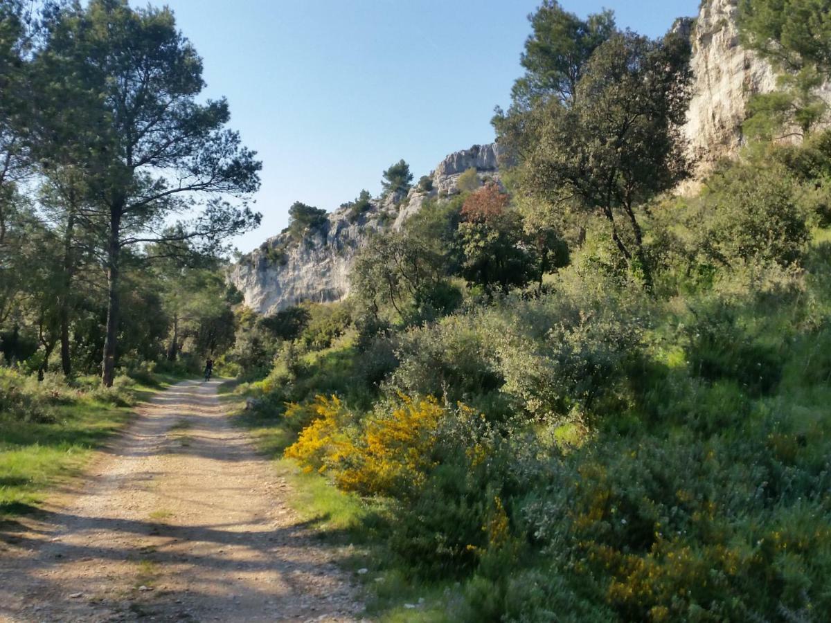 L'orgaliere Alpilles * Orgon