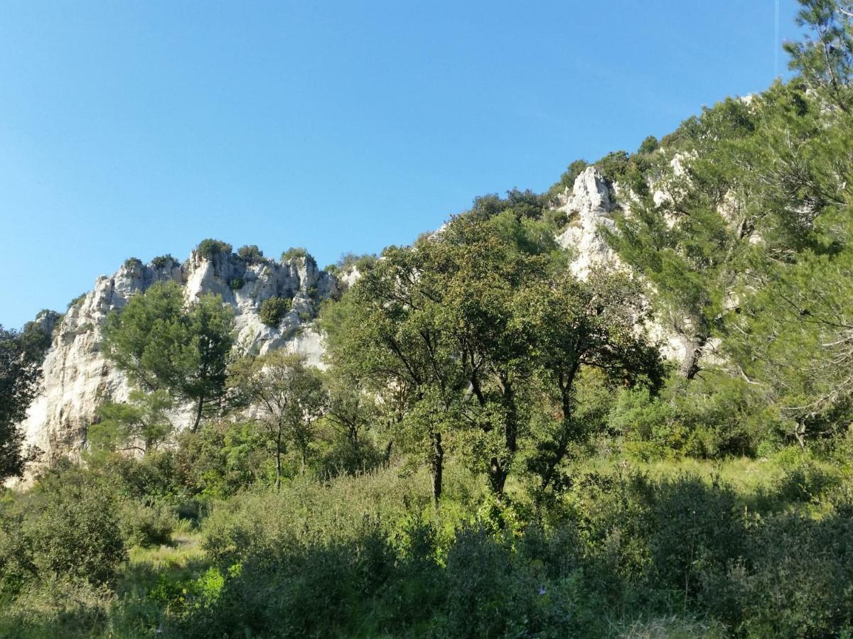 Ferienhaus L'orgaliere Alpilles Orgon